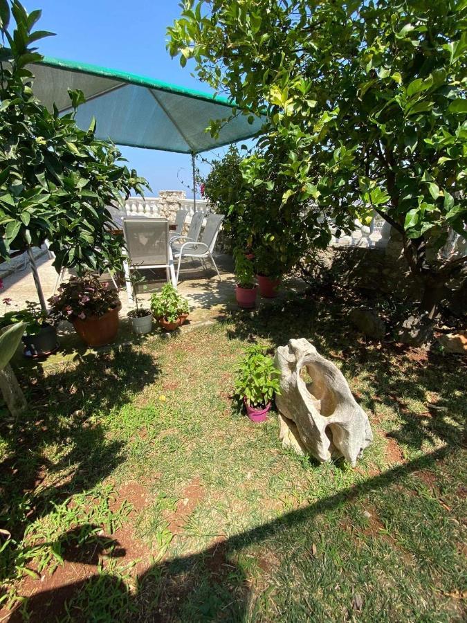 Vila Mare Mateo Εξαμίλιο Εξωτερικό φωτογραφία